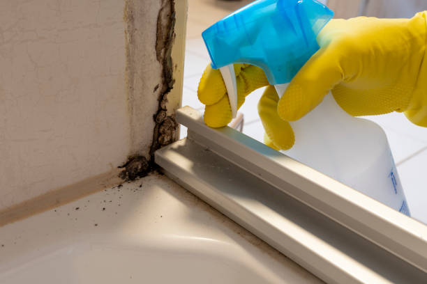 Best Mold Testing  in Summit View, WA