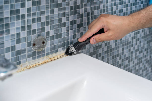 Best Local Mold Removal Service  in Summit View, WA