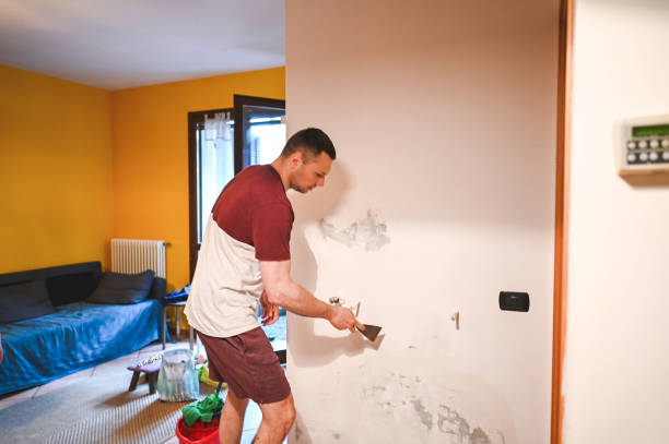  Summit View, WA Mold Removal Pros